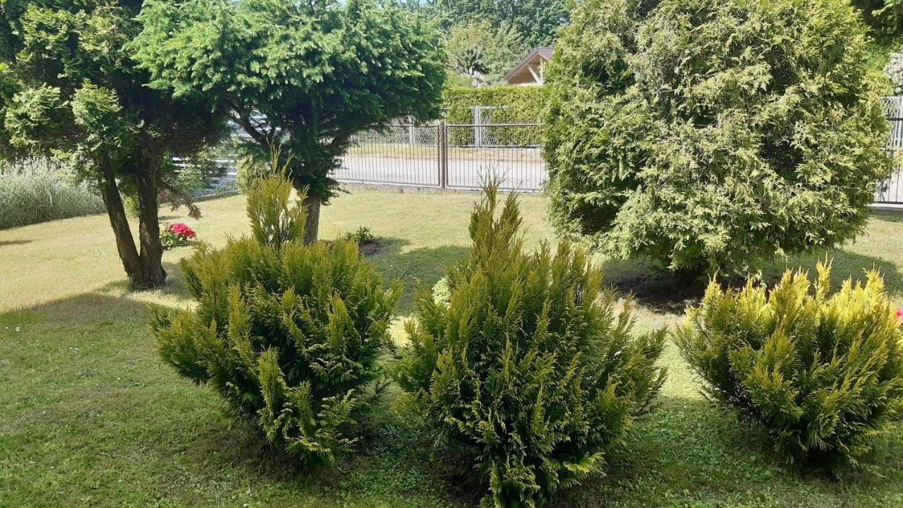פוק Apartament Pod Cisem מראה חיצוני תמונה